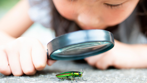 Curiosity Creates Connection