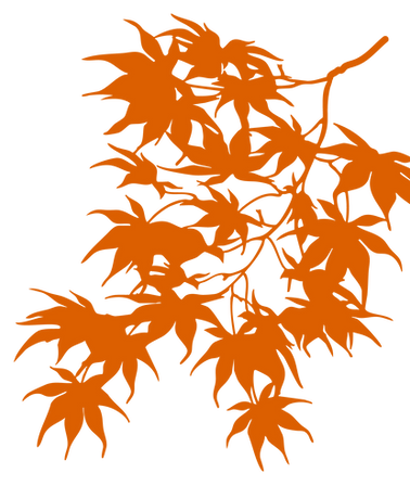 Maple asset Orange-04.png