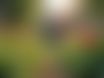 Discovering the Impact of Grassroots Eco-Projects