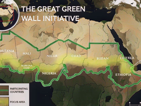 The Great Green Wall of Africa: A Race to Restore the Continent’s Future