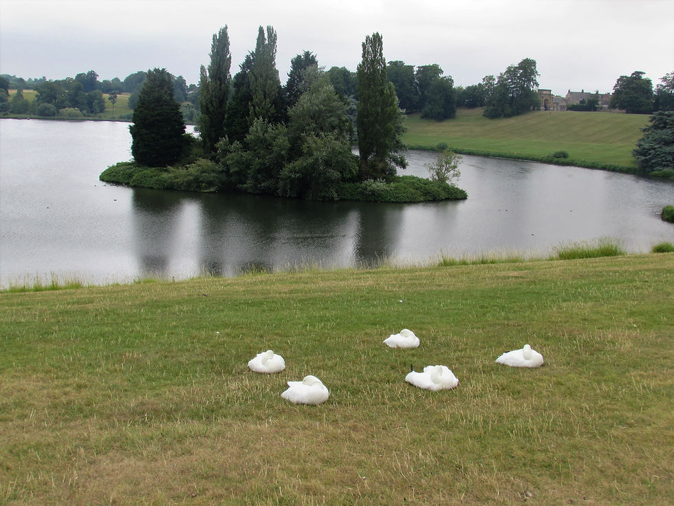 Blenheim Palace grounds