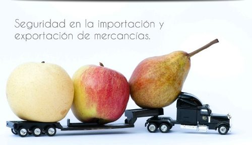agencia-aduanal-importacion-y-exportacion-internacional-3018-MLM3921251428_03201