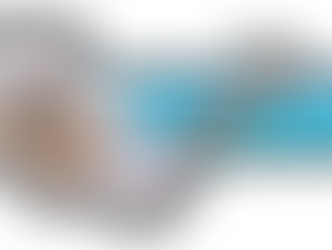 quickplack