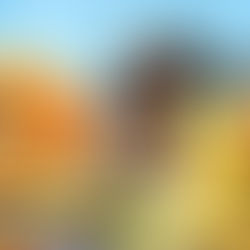 FIRST UP THE CREEK LINE UP ANNOUNCEMENTS