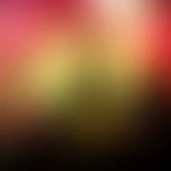 JASON OOSTHUIZEN: A DEAD GOLDFISH AND THE FOO FIGHTERS