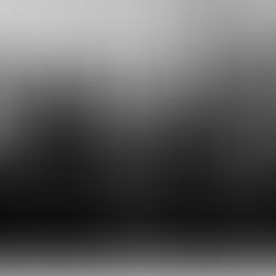 FOKOF NEWS: BOTTLED LAGER AND ALBUM PRE-ORDERS