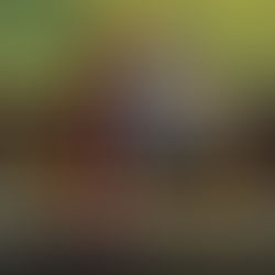 ROCKING THE BREWHOUSE IS HERE