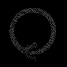 ALBUM REVIEW: FOKOFPOLISIEKAR "SELFMEDIKASIE"