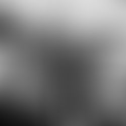 DEBUT SINGLE FROM SUNSET SWEAT SHOP