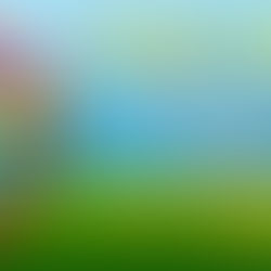 PARKLIFE FESTIVAL RETURNS