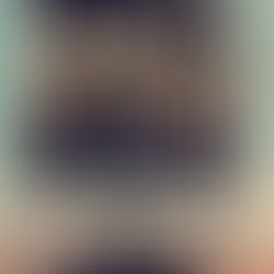 SPORADIES NOMADIES TREF GAUTENG