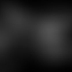 JACK PAROW NEWS: CAPE COBRA KARATE STOUT AND MOVIE THEME SONG