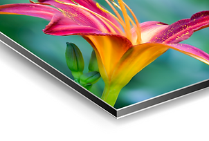 Untitled design (8).png