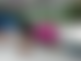 VR museum app by AVK Terwey XR, Virtual Reality App