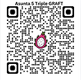 Asunta 5 Dragon Fruit GRAFTED 3 Seedlings of Choice