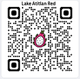 Lake Atitlan Red Dragon Fruit