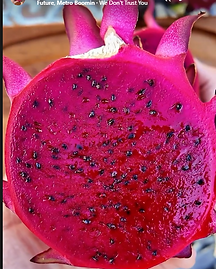 Red Leonardo Dragon Fruit