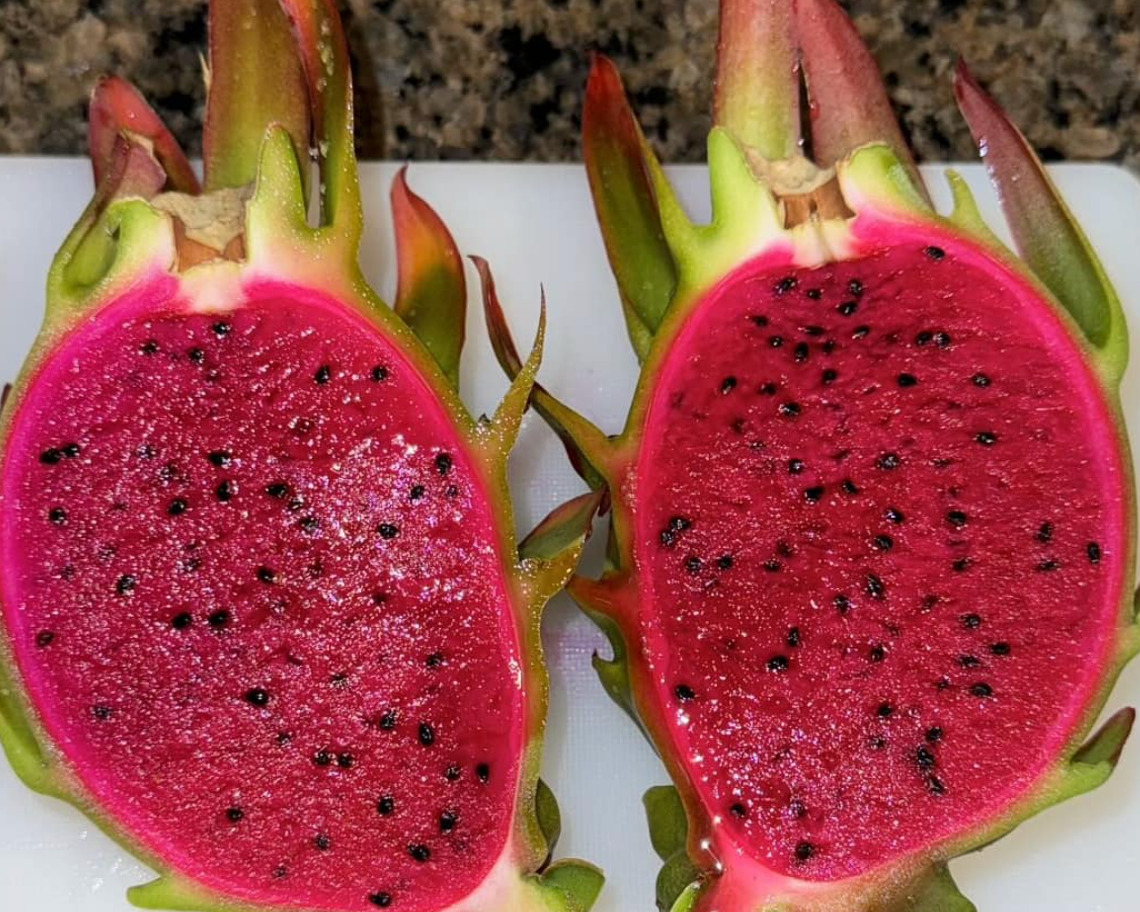 Asunta 6 Dragon Fruit