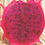 Thumbnail: Manila Red Dragon Fruit STARTER