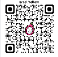 Israel Yellow Dragon Fruit