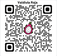Valdivia Roja Dragon Fruit