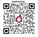 Valdivia Roja Dragon Fruit
