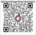 Barragan Orange-Flower Ocamponis Dragon Fruit