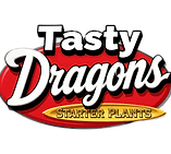 Tasty-Dragons-Logo_Cutout.png