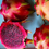 Thumbnail: Rainbow Dragon Fruit STARTER