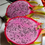 Miniatura: Townsend Pink Dragon Fruit STARTER