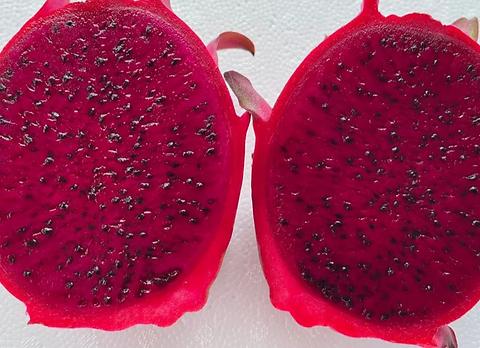 Kesslau Dragon Fruit STARTER | Tasty Dragons