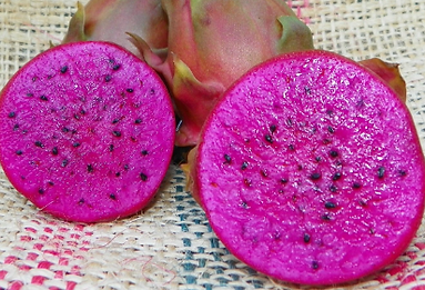Cosmic Charlie Dragon Fruit