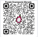 Purple Ocamponis Morada Dragon Fruit