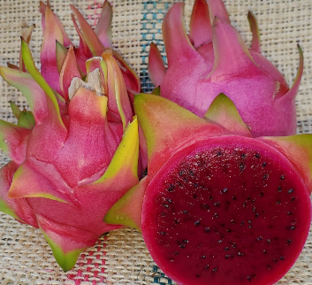 Miniatura: Sin Espinas Dragon Fruit STARTER
