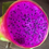 Miniatura: Coco Berry Dragon Fruit STARTER