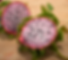 Cotton Candy Dragon Fruit