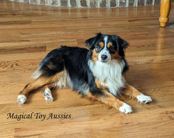 PXL_20230305_154819636.MP