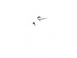 ʻŌiwi.png