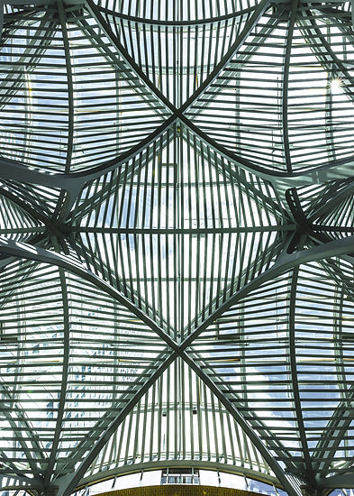 extravagant-steel-and-glass-ceiling-of-brookfield-2023-11-27-05-06-31-utc.jpg