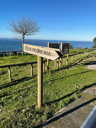 IMG-20201226-WA0024_edited.jpg