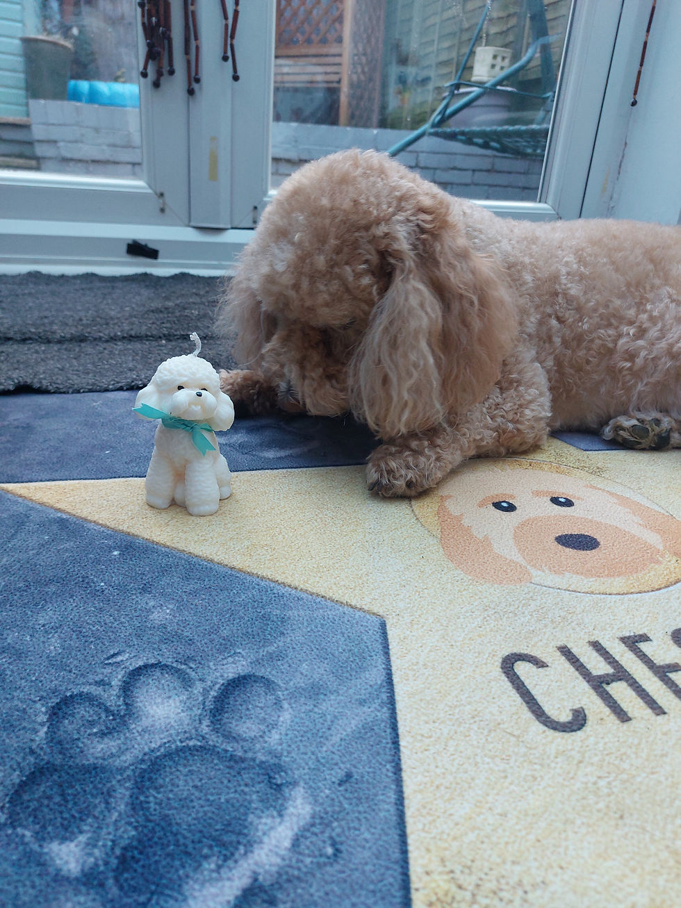 Thumbnail: Chester's Cockapoo Decorative Candle