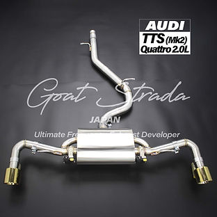 AUDI TTS Mk2 2.0L Quattro Sus304 Valved Rear Exhaust+Tips+Mid pipe