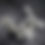 Thumbnail: Lamborghini Revuelto 6.5L V12 F1 sound package Valved Exhaust system