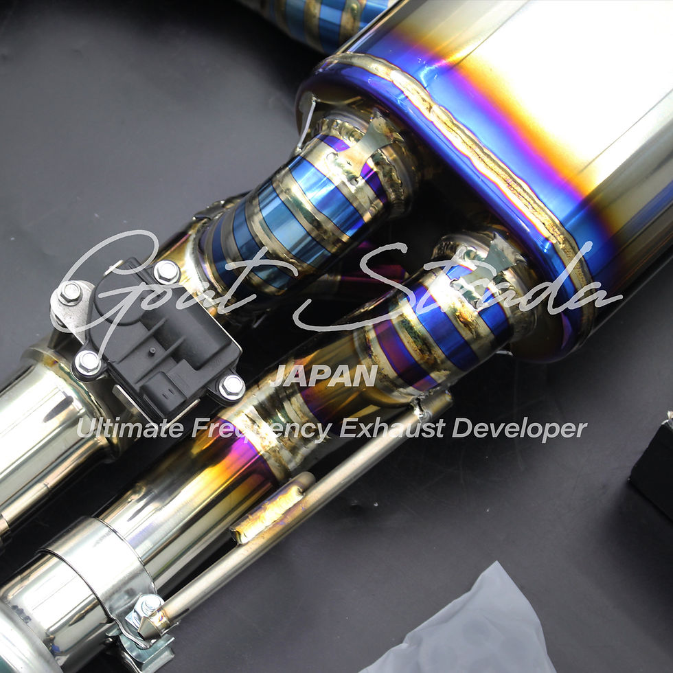 サムネイル： AUDI RSQ8 Valved Racing Full Exhaust System