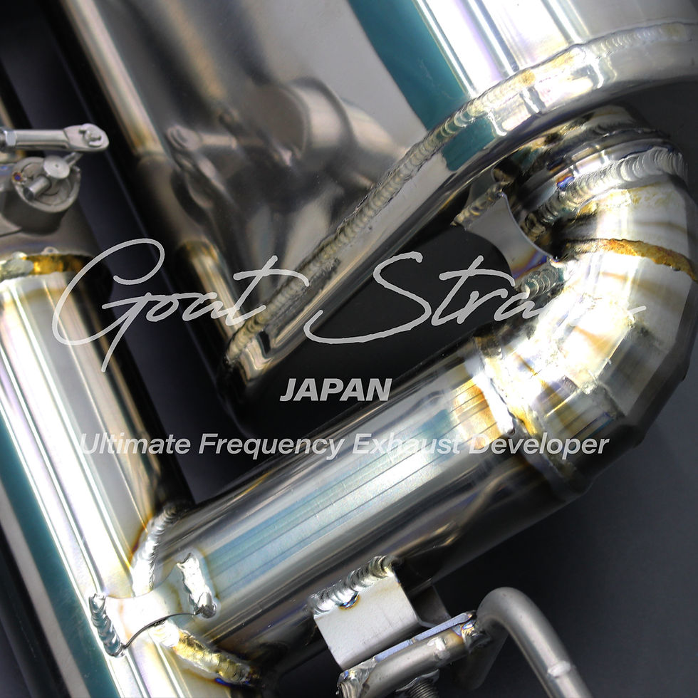 サムネイル： Dodge Charger SRT 6.4L 2011-2014 Racing Valved Exhaust system