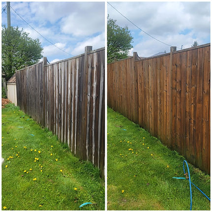 Fence Cleaning Before and After
