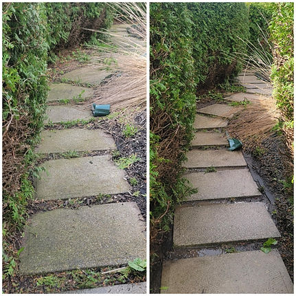 Patio Stone Cleaning Before and After