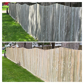 Fence Cleaning