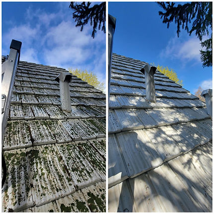 Roof Washing Before and After