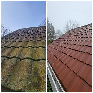 Metal Roof Washing